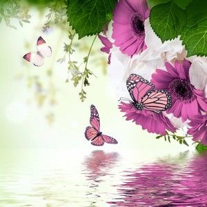 Meet your Posher, Mae e